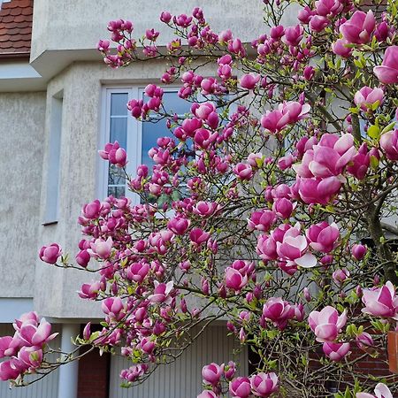 Apartament Magnolia Sopot Exterior photo